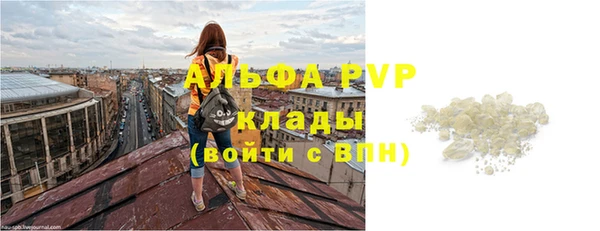 прущие грибы Абинск