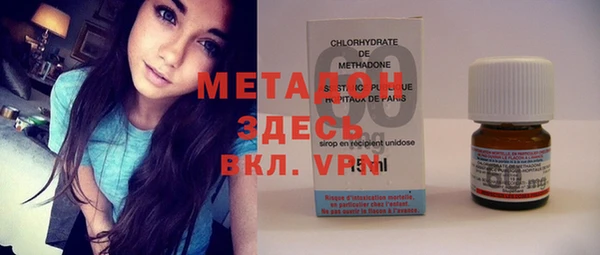 прущие грибы Абинск