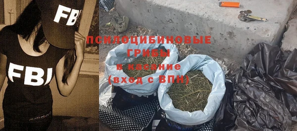 твердый Абаза
