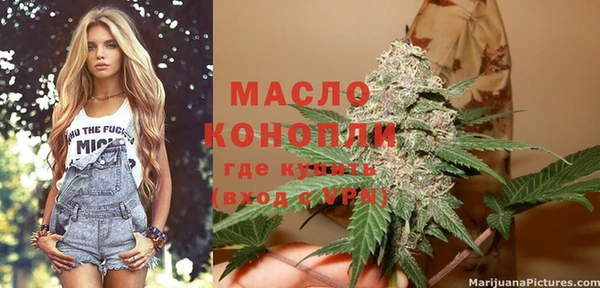 твердый Абаза