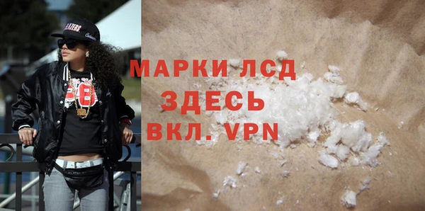 прущие грибы Абинск